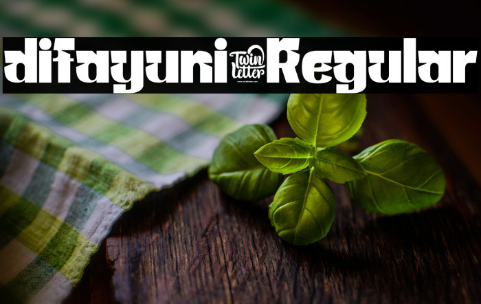 difayuni-Regular Example 2