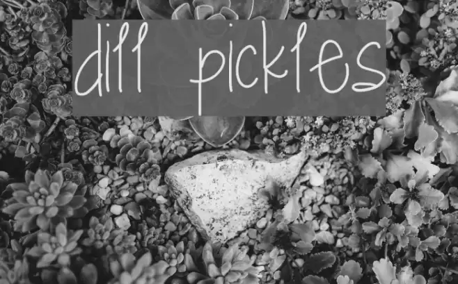 dill pickles Font examples