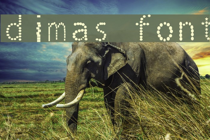 dimas font Example 3