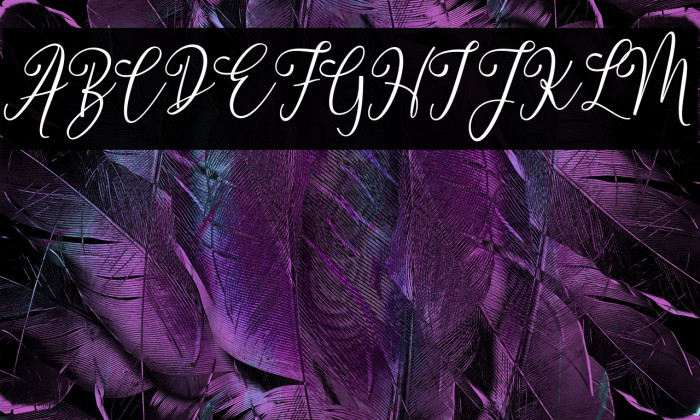 dimmyademo Example 1