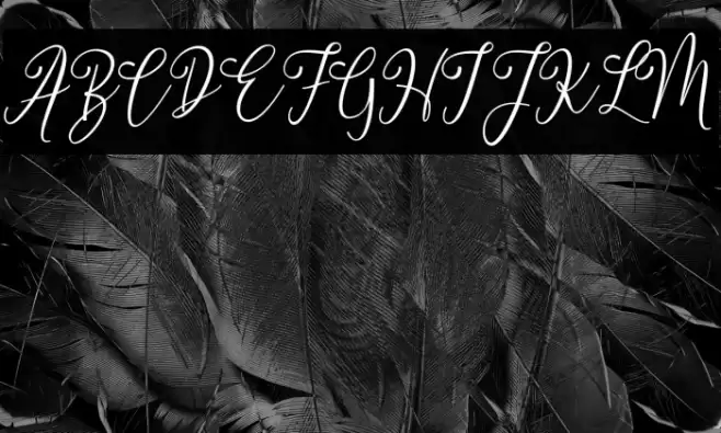 dimmyademo Font examples