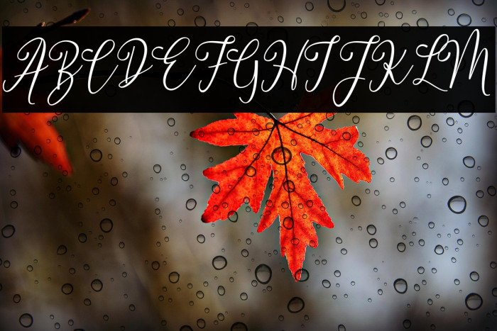 dimmyademo Example 2