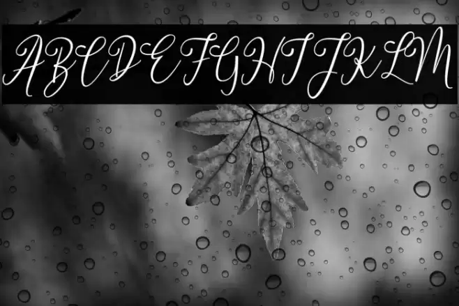 dimmyademo Font examples