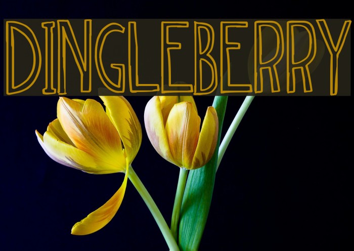 dingleberry Font examples