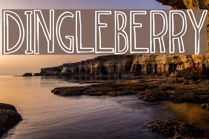 dingleberry Font examples