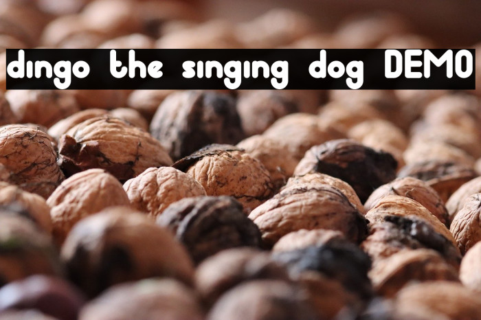 dingo the singing dog DEMO Example 1