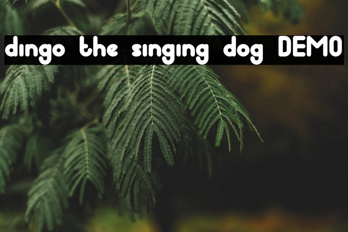 dingo the singing dog DEMO Example 2