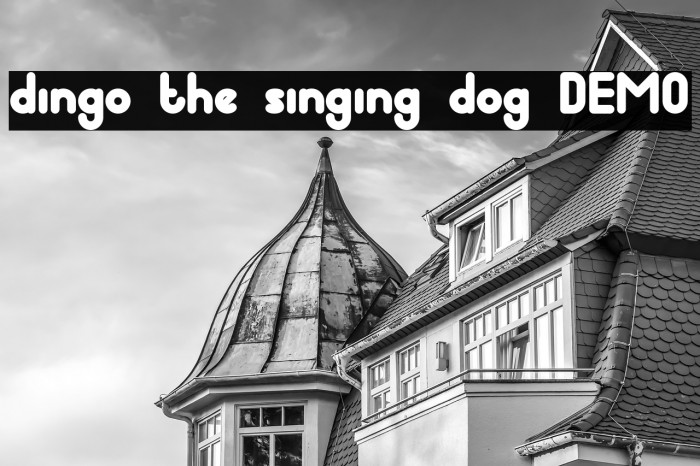 dingo the singing dog DEMO Example 3
