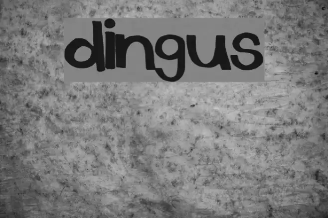 dingus Font examples