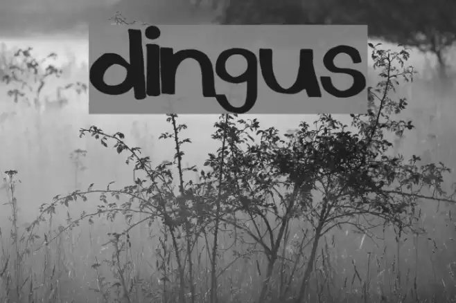 dingus Font examples