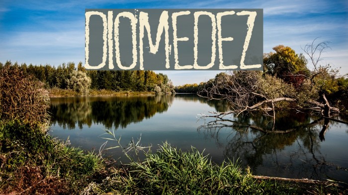 diomedez Font examples