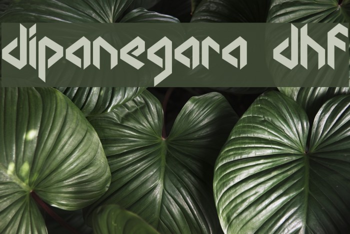 dipanegara dhf Example 2