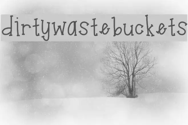 dirtywastebuckets Example 1