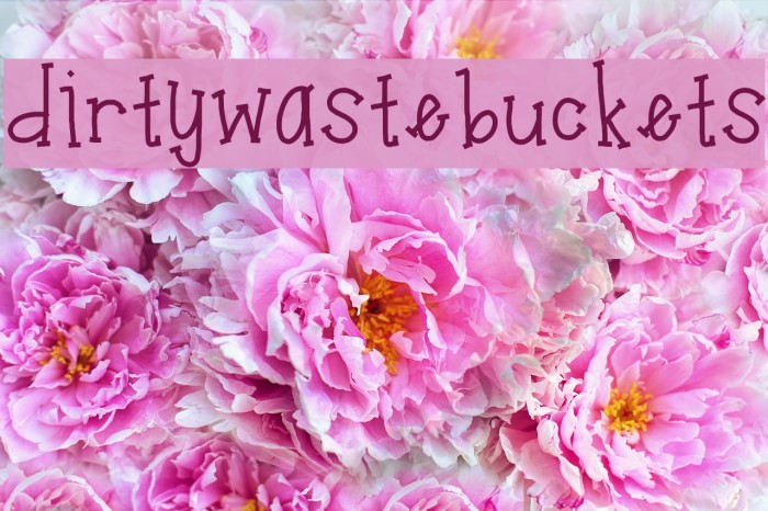 dirtywastebuckets Font examples