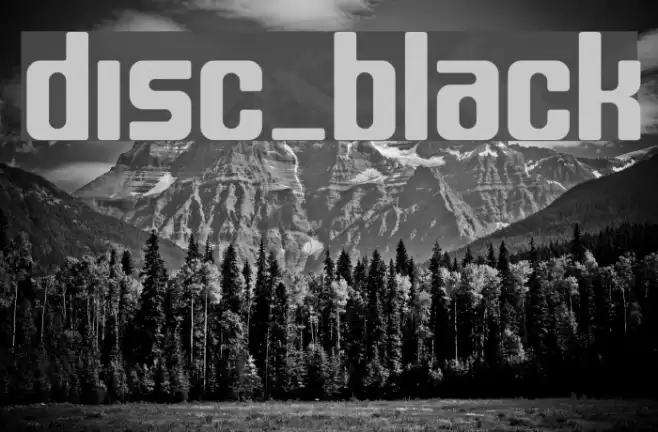 disc_black Font examples