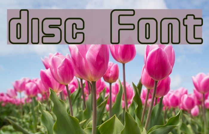 disc फ़ॉन्ट examples