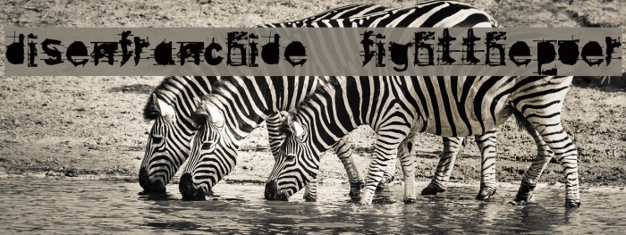 disenfranchide fightthepower Font examples