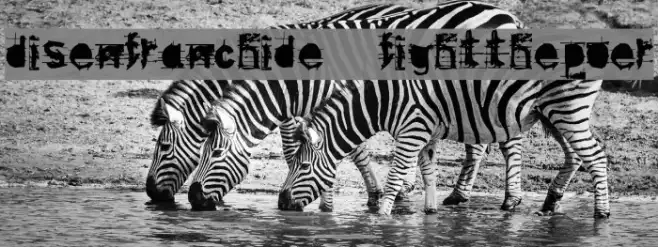 disenfranchide  fightthepower Example 1