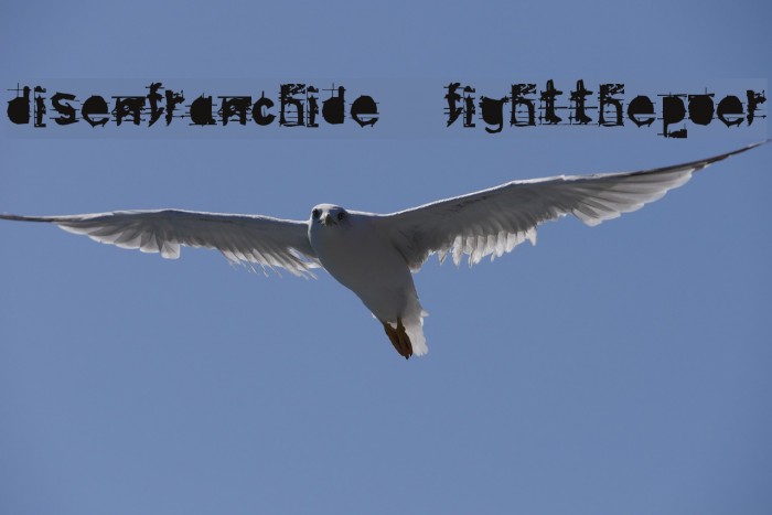disenfranchide fightthepower Font examples