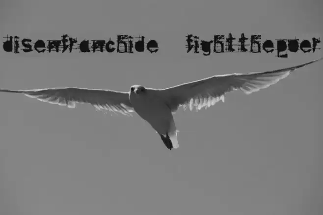 disenfranchide  fightthepower Example 2