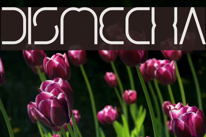 dismecha Font examples