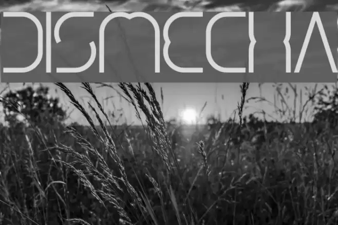 dismecha Font examples