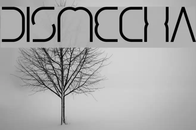 dismecha Font examples