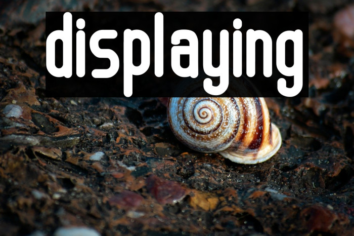 displaying Example 1