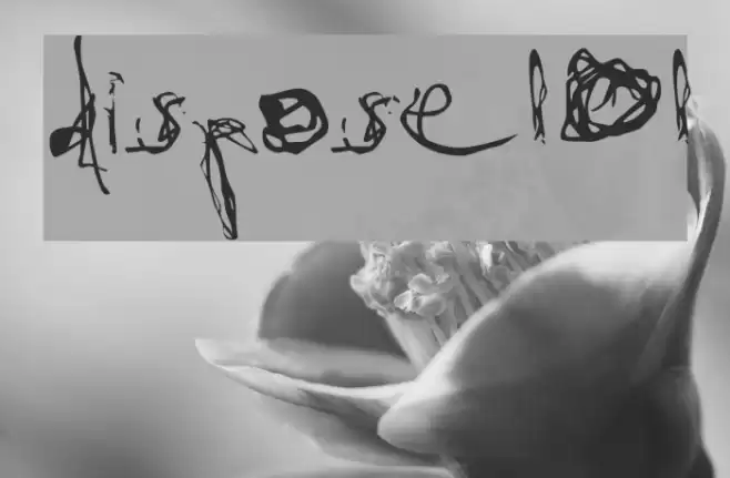 dispose101 Font examples