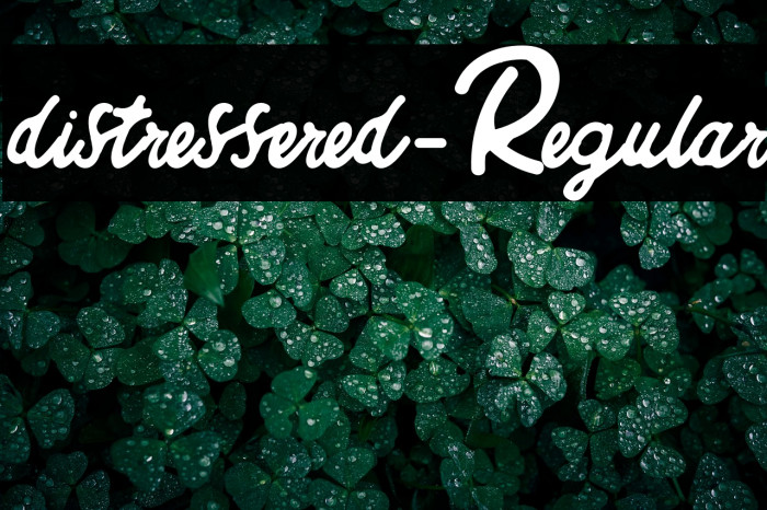 distressered-Regular Example 2