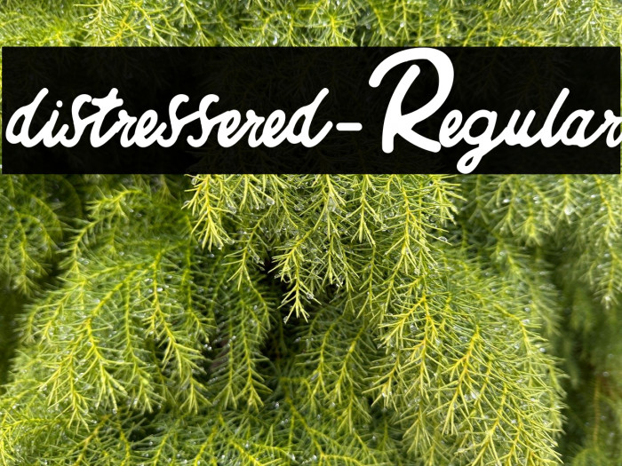 distressered-Regular Example 3