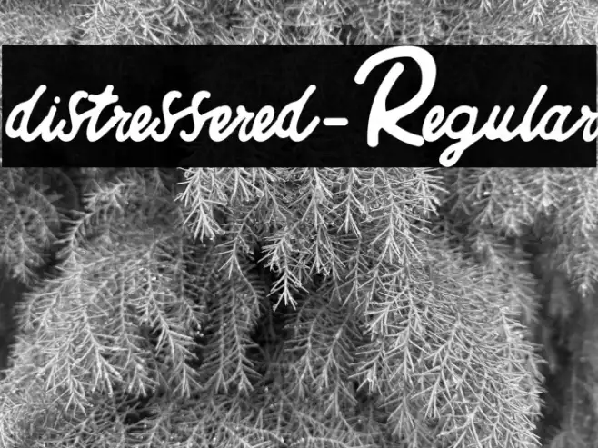 distressered-Regular Example 3