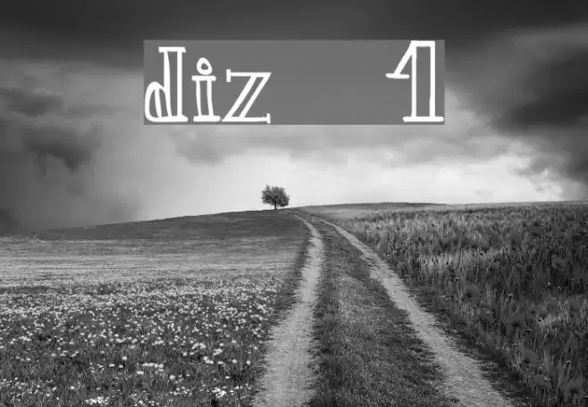 diz 1 Font examples