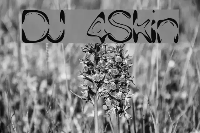 DJ 4Skin Font examples