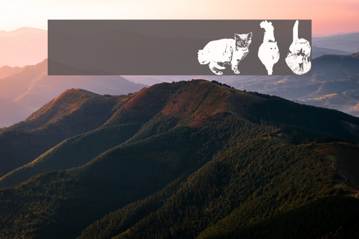 DJ Cats Font examples