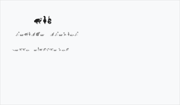 DJ Cats Business Card