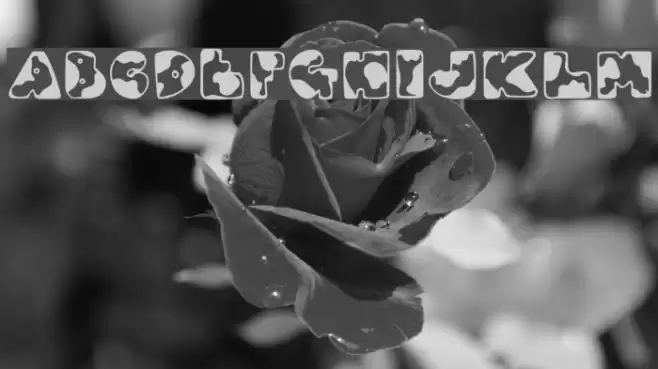 DJ Moo Шрифта examples