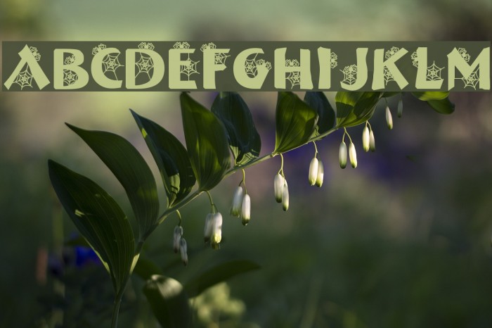 DJ Web Font examples
