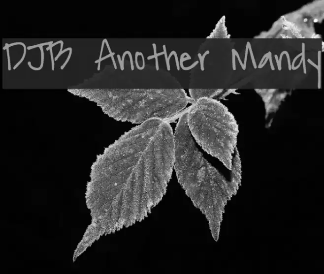DJB Another Mandy Шрифта examples