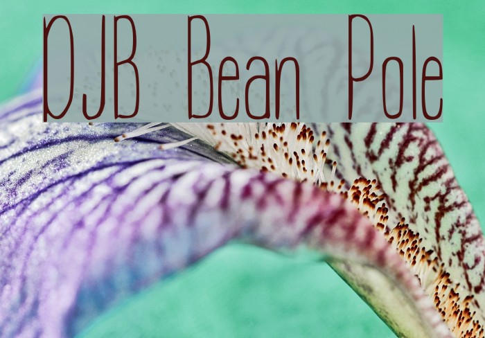 DJB Bean Pole Font examples