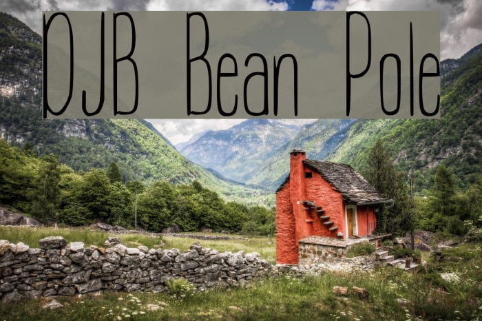 DJB Bean Pole Font examples