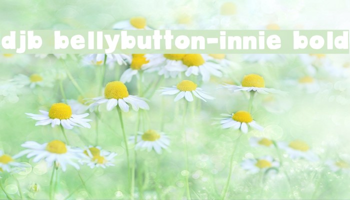 DJB BellyButton-Innie Bold Example 1