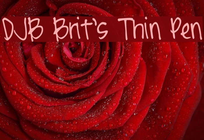 DJB Brit's Thin Pen Font examples