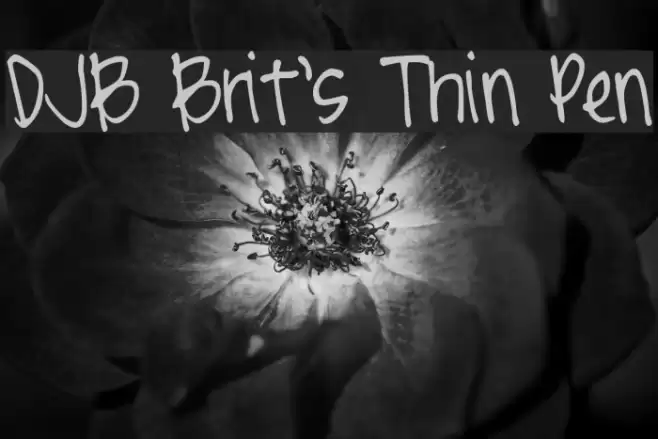 DJB Brit's Thin Pen Font examples