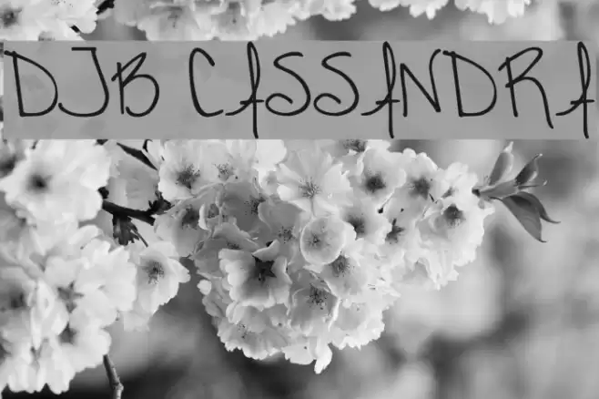 DJB CASSANDRA Font examples