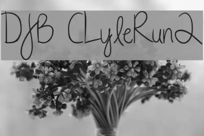 DJB CLyleRun2 Example 3