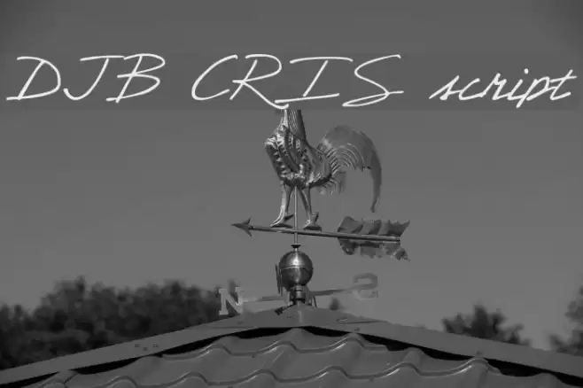 DJB CRIS script Font examples