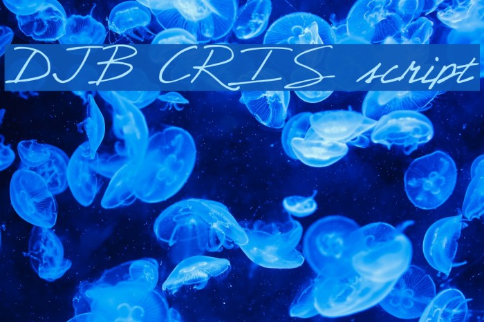 DJB CRIS script Font examples