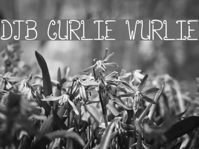 DJB CURLIE WURLIE Font examples