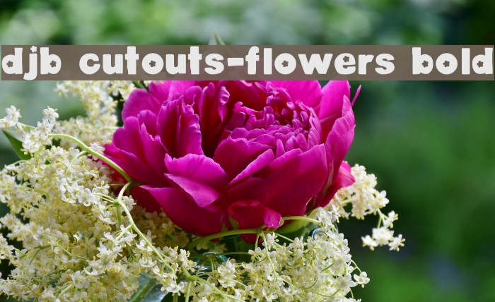 DJB Cutouts-Flowers Bold Font examples